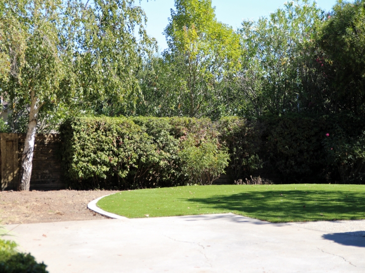 Faux Grass Merced, California Lawn And Landscape, Backyard Makeover