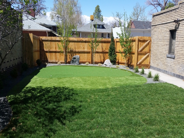 Faux Grass Planada, California Landscape Photos, Backyard Landscaping