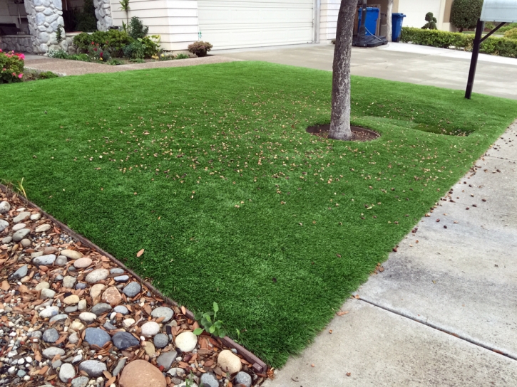 Faux Grass South Dos Palos, California Landscape Design, Front Yard Landscaping Ideas