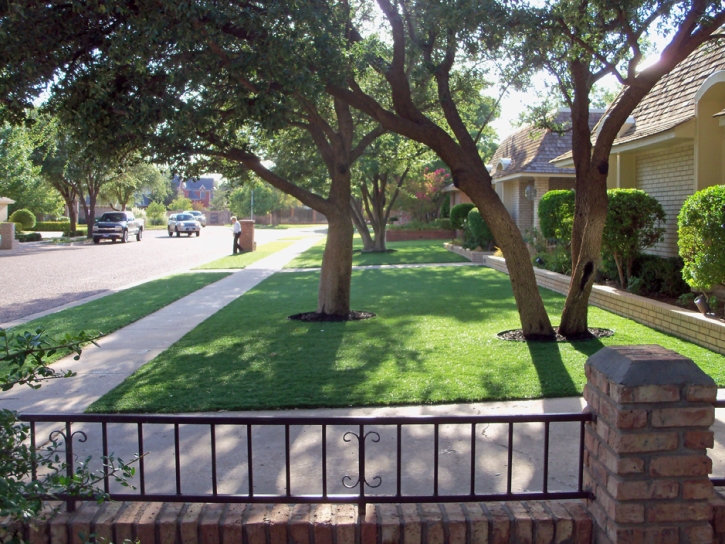 Faux Grass Stevinson, California Landscaping Business, Front Yard Landscaping Ideas