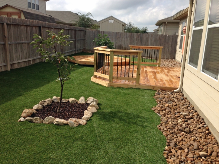 Grass Carpet Cressey, California Landscaping, Small Backyard Ideas