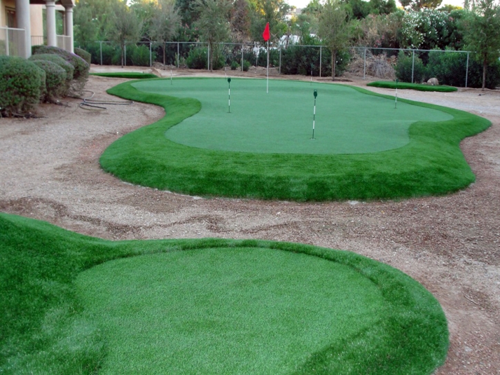 Grass Carpet Delhi, California Backyard Putting Green, Backyard Landscaping