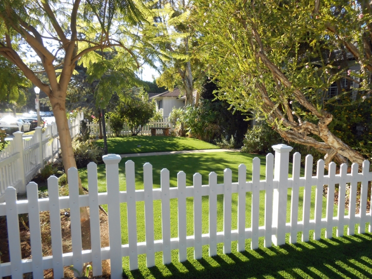 Grass Carpet Delhi, California Gardeners, Front Yard Landscape Ideas