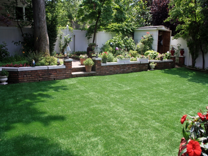 Grass Carpet Planada, California Design Ideas, Backyard