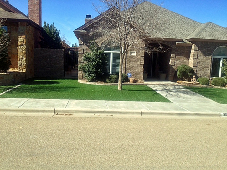 Grass Carpet Snelling, California Home And Garden, Small Front Yard Landscaping