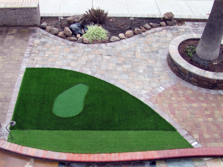 Grass Carpet Snelling, California Landscape Design, Front Yard Design