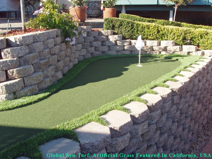 Grass Carpet Winton, California Paver Patio, Backyard Landscaping