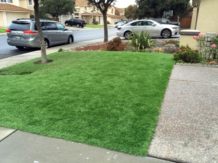 Grass Installation Cressey, California Landscaping Business, Front Yard Landscape Ideas