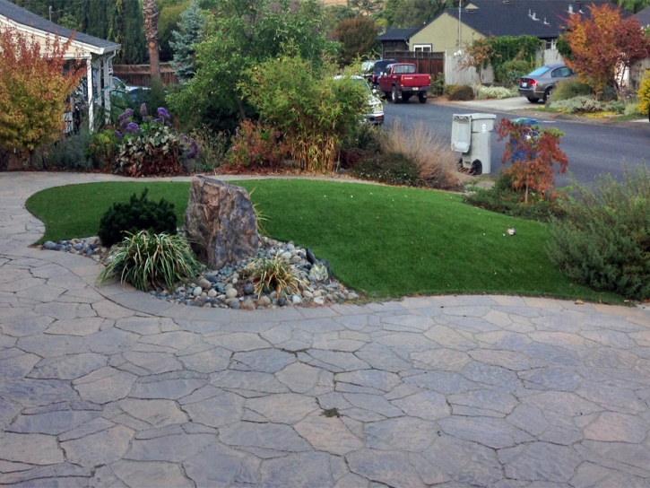 Grass Turf Atwater, California Design Ideas, Front Yard Design