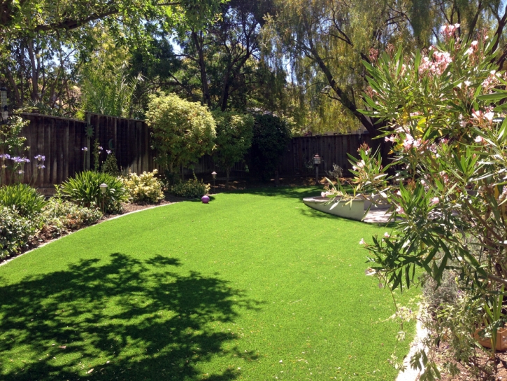 Grass Turf Dos Palos, California City Landscape, Backyard Landscaping Ideas