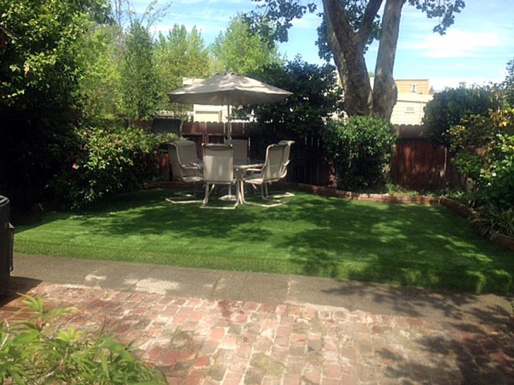 Grass Turf Dos Palos, California Backyard Playground, Backyard Garden Ideas