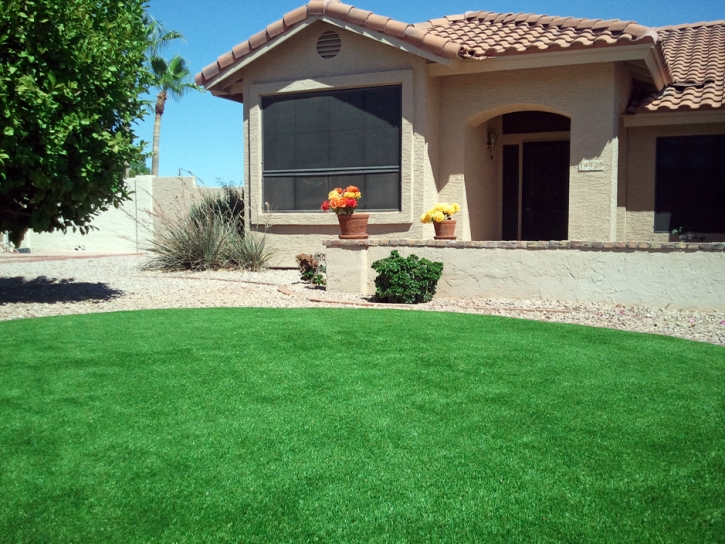 Grass Turf Dos Palos, California Design Ideas, Front Yard Landscaping Ideas