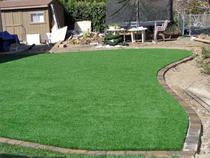 Grass Turf Dos Palos, California Landscaping, Small Backyard Ideas