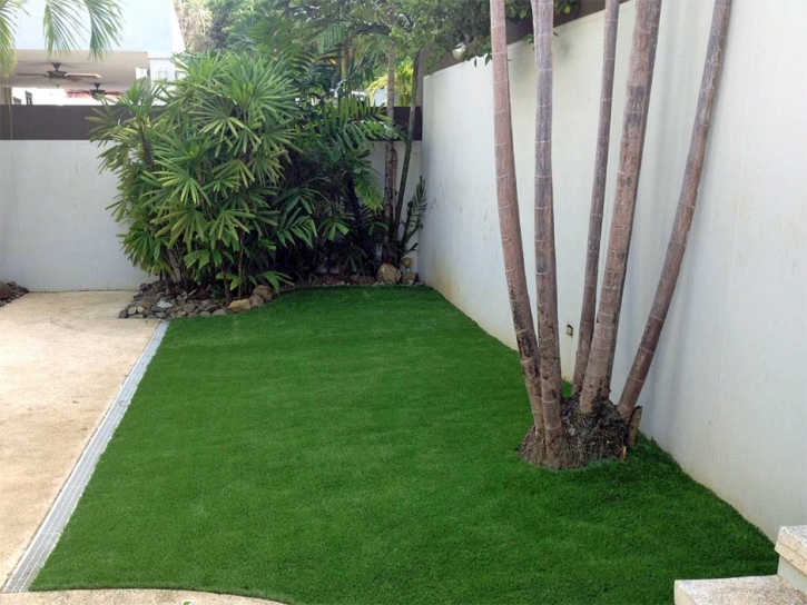 Grass Turf El Nido, California Backyard Deck Ideas, Small Backyard Ideas