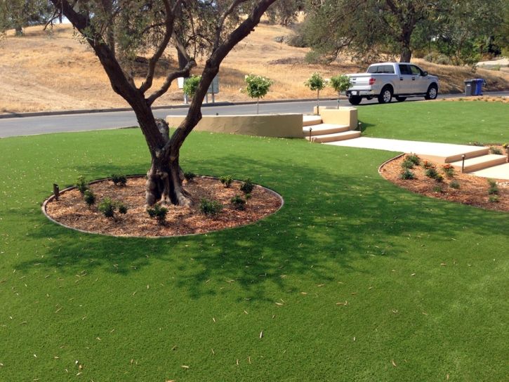 Grass Turf Le Grand, California Lawn And Garden, Small Front Yard Landscaping