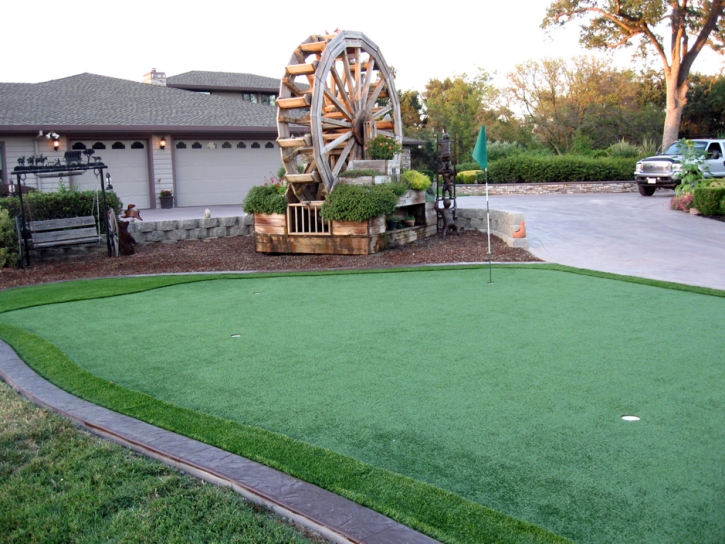 Grass Turf Livingston, California Roof Top, Front Yard Landscaping Ideas