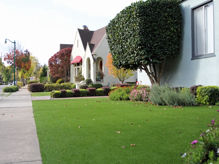 Grass Turf Livingston, California Rooftop, Front Yard Landscaping