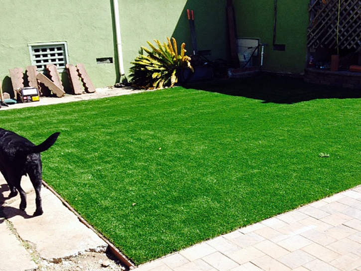 Grass Turf Los Banos, California Dog Hospital, Backyard Designs