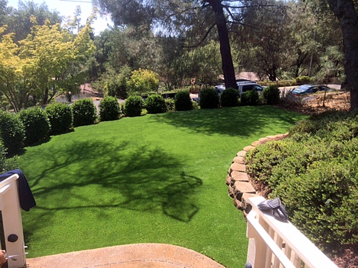 Grass Turf Los Banos, California Lawns, Backyard