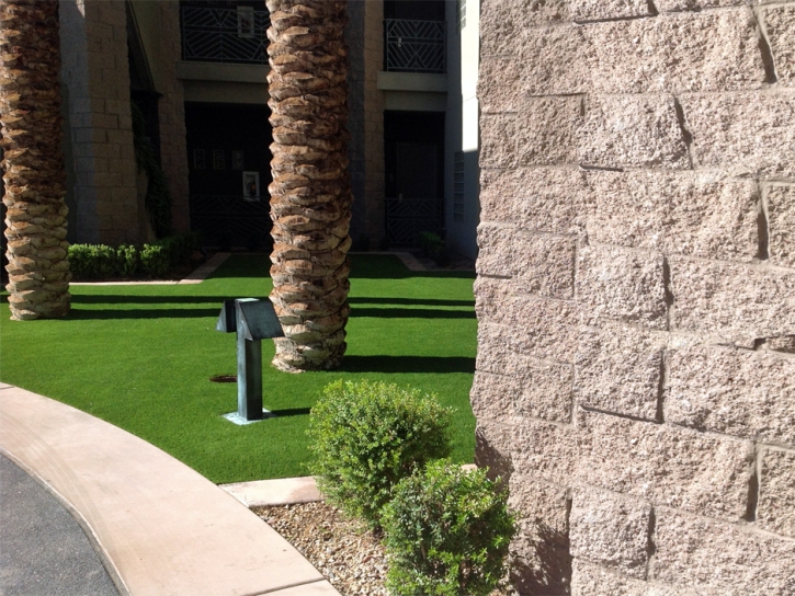 Grass Turf Snelling, California Design Ideas, Commercial Landscape