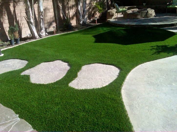 Grass Turf Stevinson, California Paver Patio, Backyard