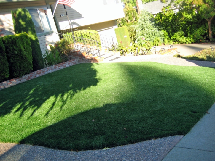 Green Lawn Ballico, California Roof Top, Landscaping Ideas For Front Yard