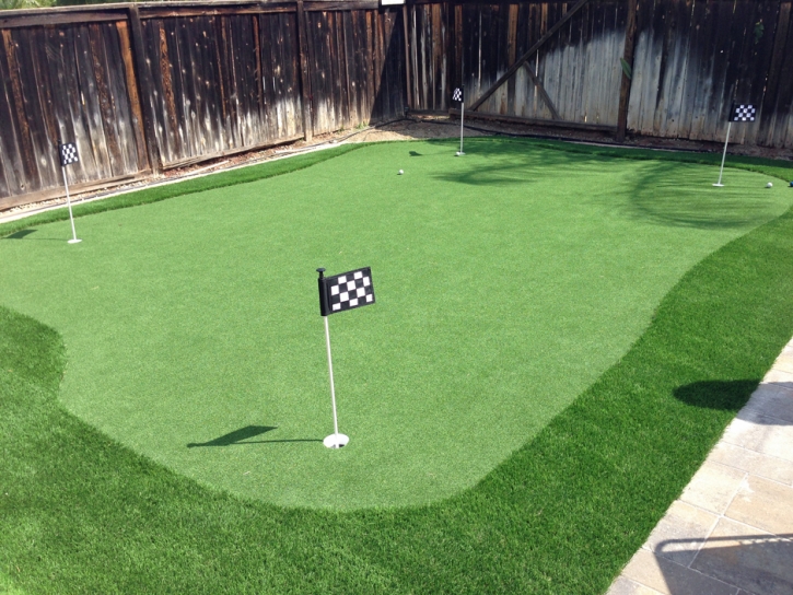 Green Lawn Cressey, California Roof Top, Backyard Landscaping