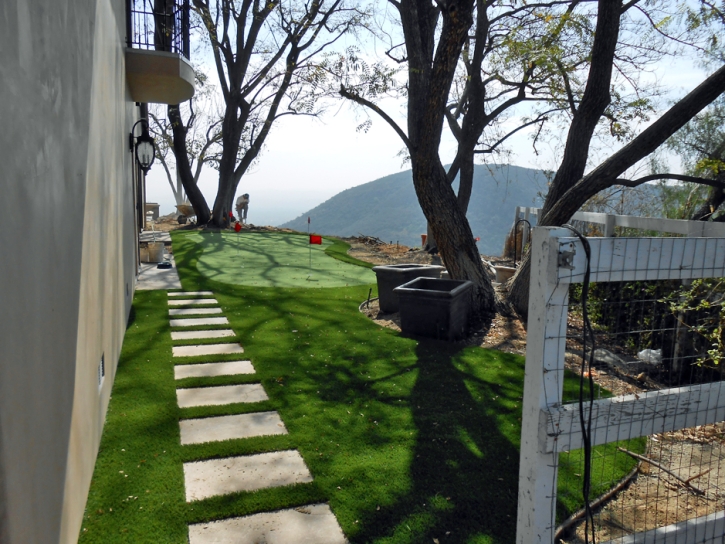 Green Lawn Delhi, California Landscape Ideas, Backyard