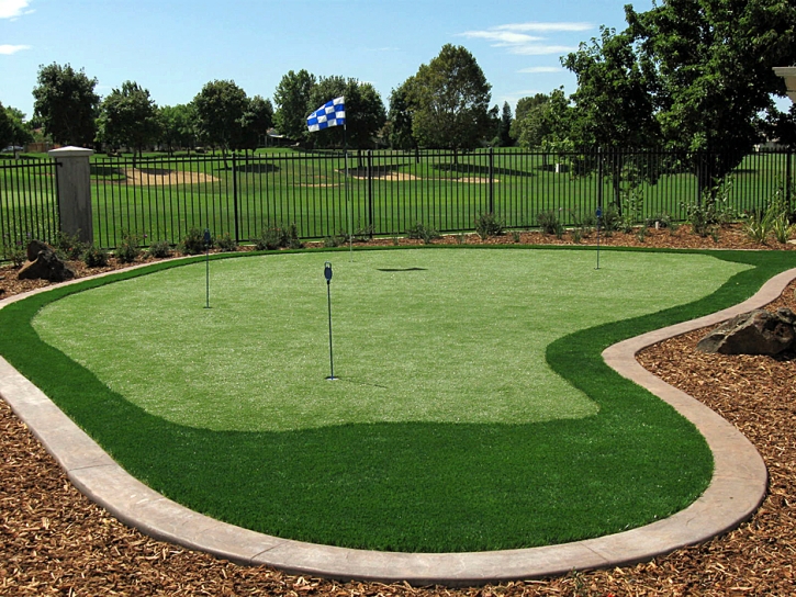 Green Lawn Los Banos, California Backyard Playground, Backyard Design