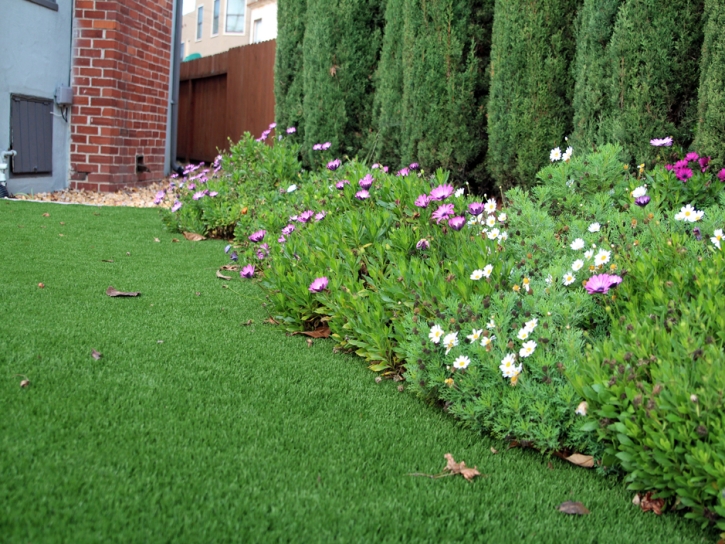 Green Lawn Tuttle, California Garden Ideas, Front Yard