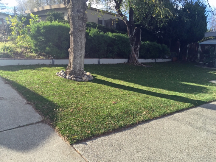 Green Lawn Volta, California Lawn And Landscape, Front Yard Landscaping Ideas