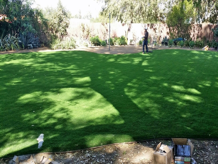 Lawn Services Cressey, California City Landscape, Backyard Design