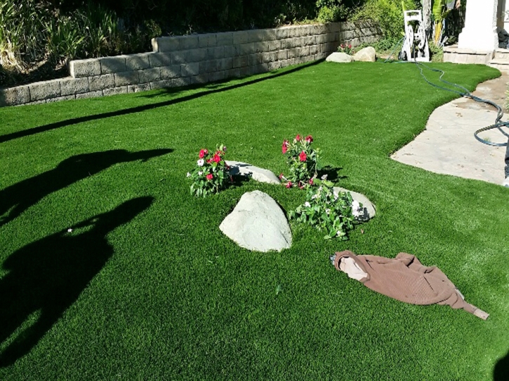 Lawn Services Gustine, California Backyard Playground, Front Yard Ideas