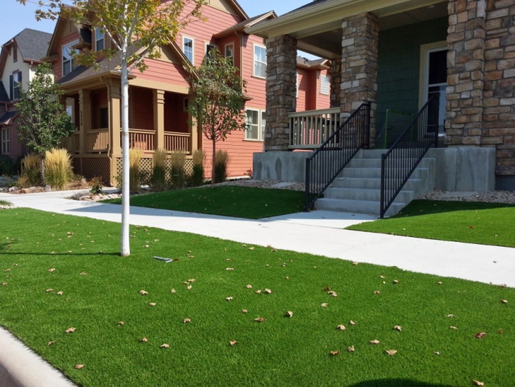 Lawn Services Planada, California Roof Top, Front Yard Design