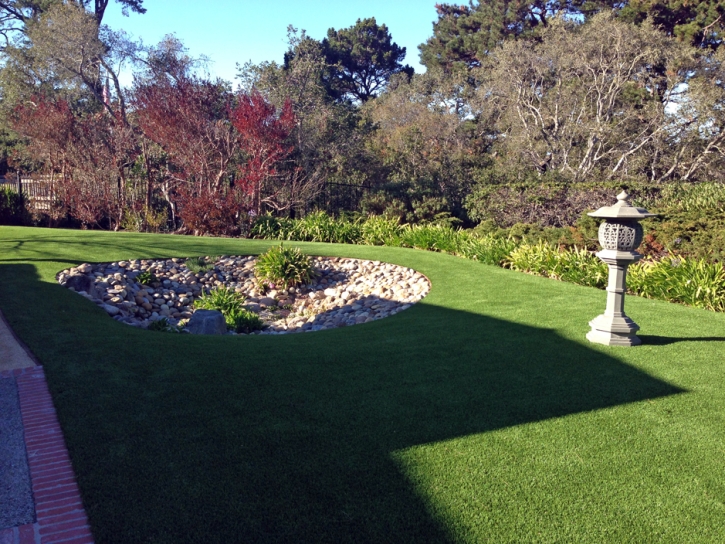 Lawn Services South Dos Palos, California Landscaping Business, Backyards