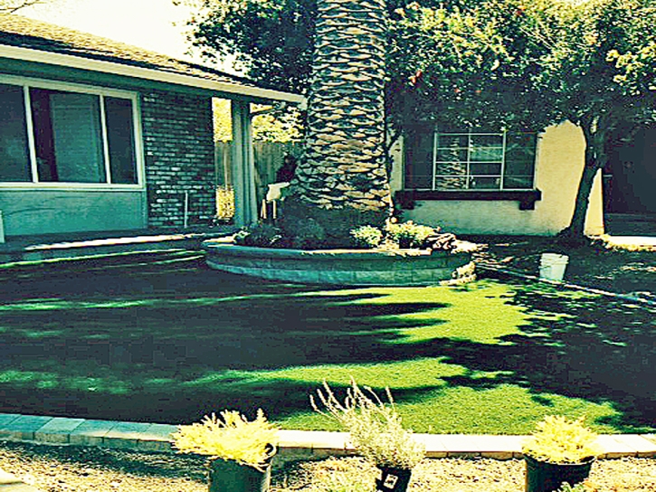 Lawn Services Winton, California City Landscape, Front Yard Ideas