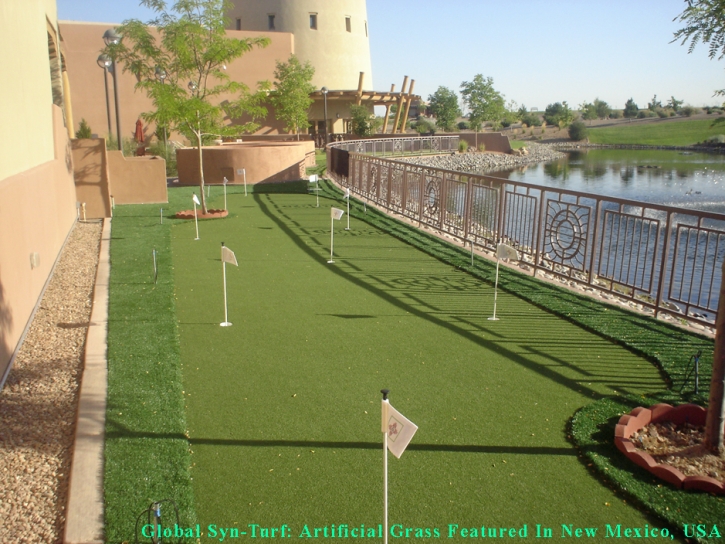 Outdoor Carpet Atwater, California Lawns, Backyard Ideas