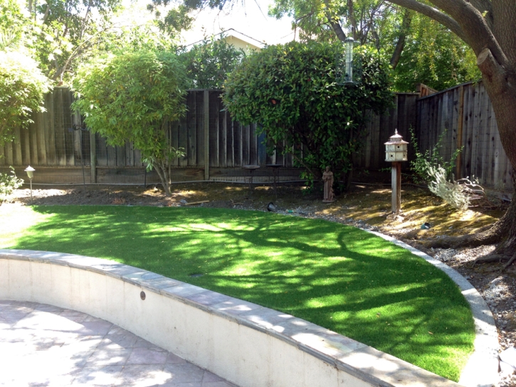 Outdoor Carpet Atwater, California Roof Top, Commercial Landscape