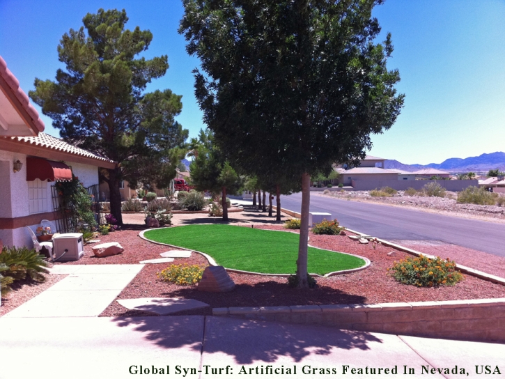 Outdoor Carpet Planada, California Gardeners, Front Yard Landscape Ideas