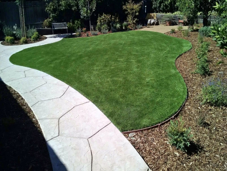 Outdoor Carpet Snelling, California Landscaping Business, Landscaping Ideas For Front Yard