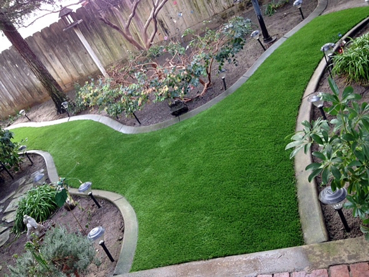 Outdoor Carpet South Dos Palos, California Backyard Playground, Backyard Garden Ideas