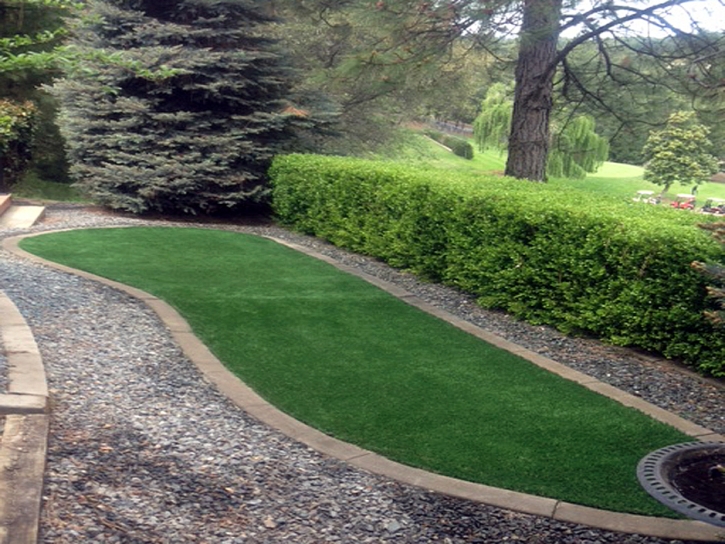 Outdoor Carpet South Dos Palos, California Landscaping Business