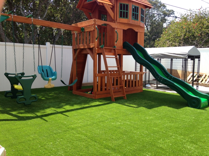 Outdoor Carpet South Dos Palos, California Roof Top, Backyard Landscaping