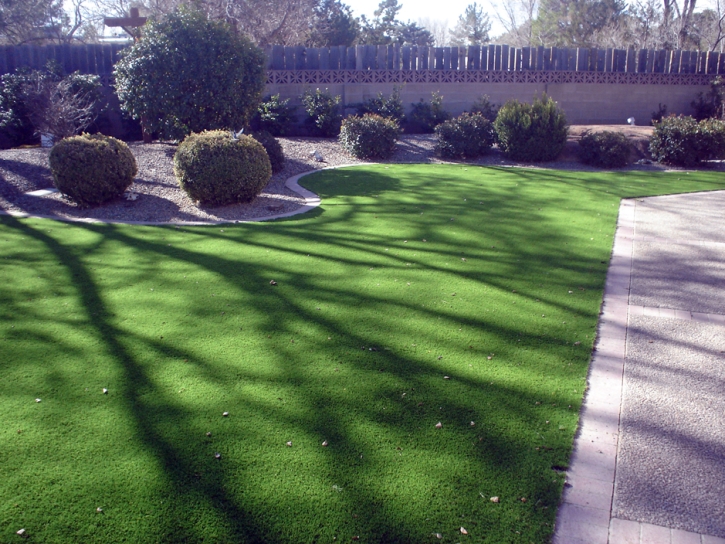 Outdoor Carpet Stevinson, California Lawn And Landscape, Front Yard Ideas