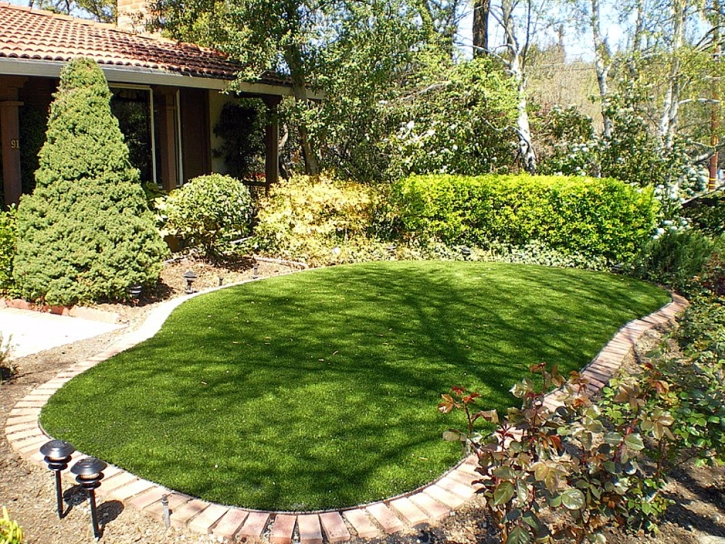 Outdoor Carpet Winton, California Rooftop, Backyard Design