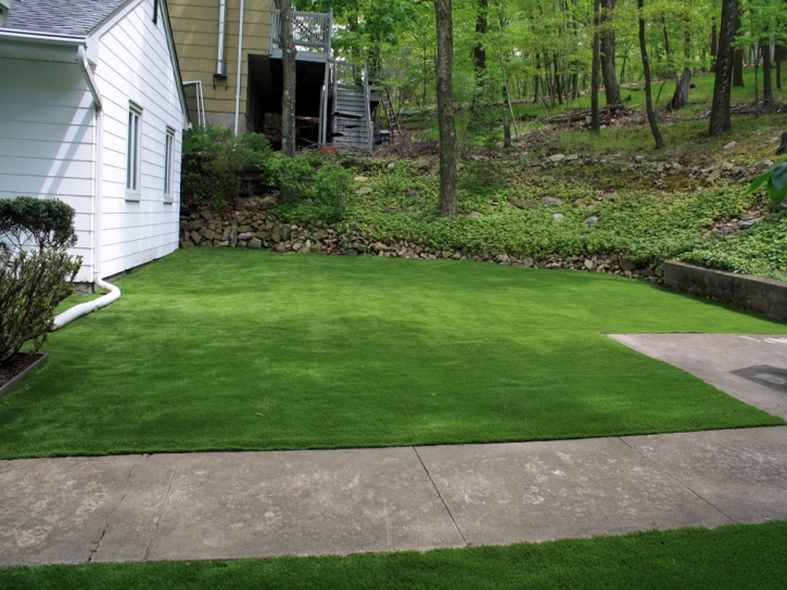 Plastic Grass Atwater, California Landscaping, Front Yard Design