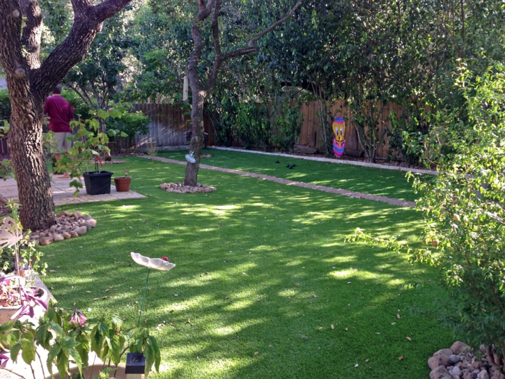 Plastic Grass Bear Creek, California Landscaping Business, Backyard Landscape Ideas