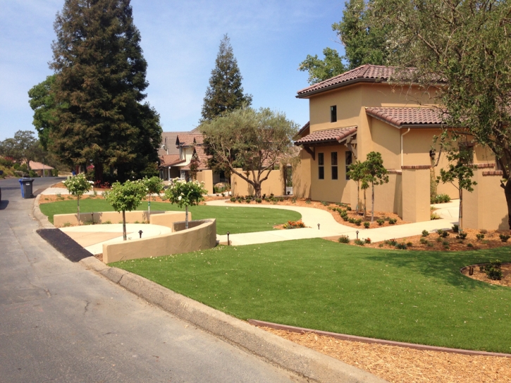 Plastic Grass Cressey, California Landscaping Business, Landscaping Ideas For Front Yard