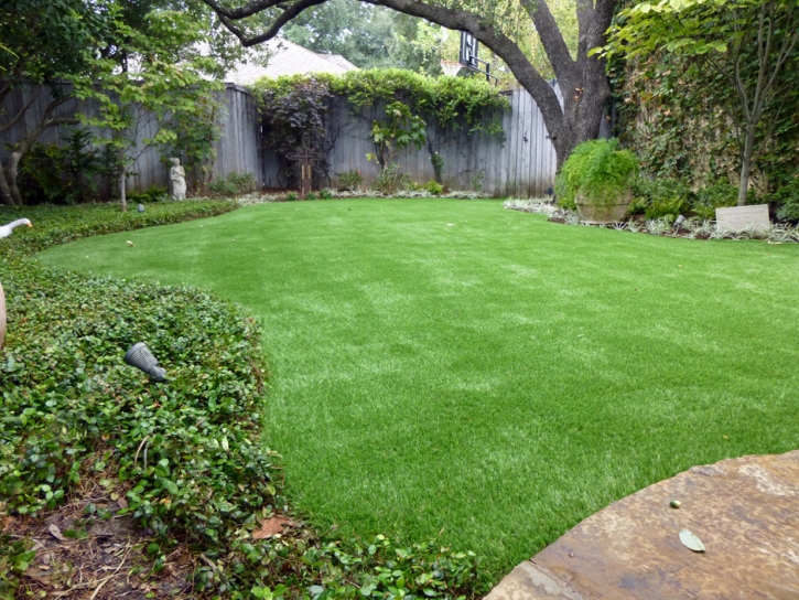 Plastic Grass Delhi, California City Landscape, Backyard Makeover