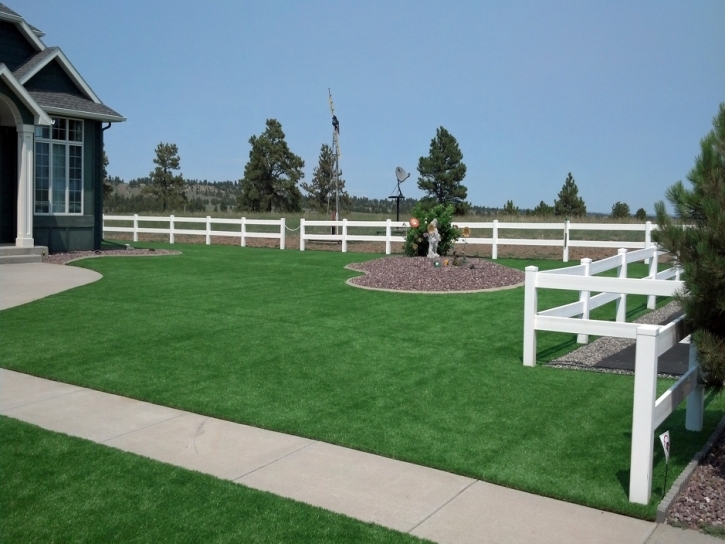 Plastic Grass Delhi, California Landscape Design, Backyard Landscape Ideas